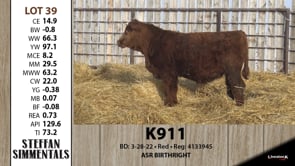 Lot #39 - K911