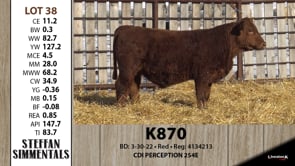 Lot #38 - K870