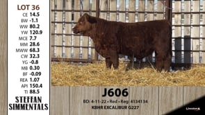 Lot #36 - J606