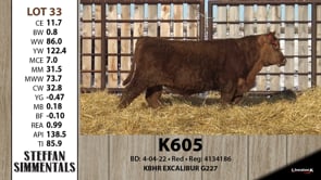Lot #33 - K605