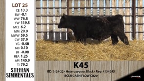 Lot #25 - K45