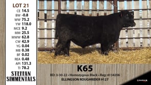 Lot #21 - K65
