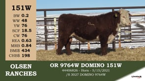 Lot #151W - OR 9764W DOMINO 151W