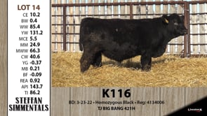 Lot #14 - K116