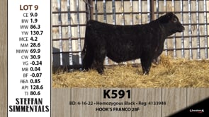Lot #9 - K591