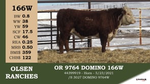 Lot #166W - OR 9764 DOMINO 166W