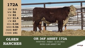 Lot #172A - OR 36F ASSET 172A