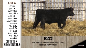 Lot #6 - K42