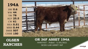 Lot #194A - OR 36F ASSET 194A
