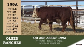Lot #199A - OR 36F ASSET 199A