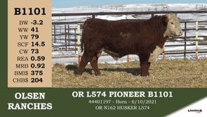 Lot #B1101 - OR L574 PIONEER B1101
