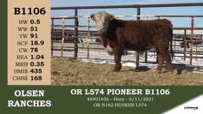 Lot #B1106 - OR L574 PIONEER B1106