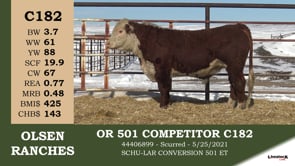 Lot #C182 - OR 501 COMPETITOR C182