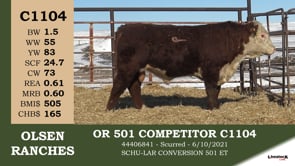 Lot #C1104 - OR 501 COMPETITOR C1104