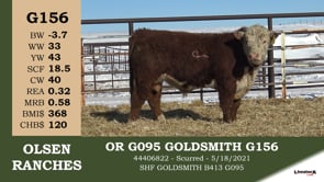 Lot #G156 - OR G095 GOLDSMITH G156