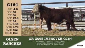 Lot #G164 - OR G095 IMPROVER G164