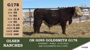 Lot #G178 - OR G095 GOLDSMITH G178