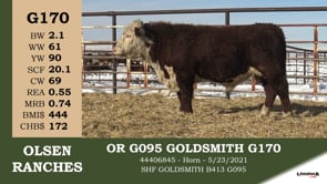 Lot #G170 - OR G095 GOLDSMITH G170