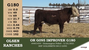 Lot #G180 - OR G095 IMPROVER G180