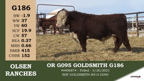 Lot #G186 - OR G095 GOLDSMITH G186