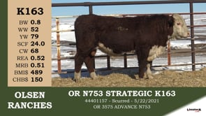 Lot #K163 - OR N753 STRATEGIC K163
