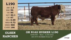Lot #L190 - OR N162 HUSKER L190