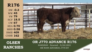 Lot #R176 - OR J770 ADVANCE R176