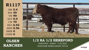 Lot #R1117 - R1117 1/2 RA 1/2 HEREFORD
