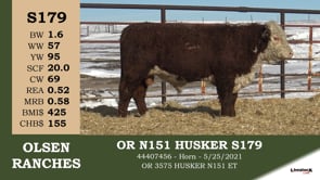 Lot #S179 - OR N151 HUSKER S179