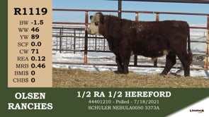 Lot #R1119 - R1119 1/2 RA 1/2 HEREFORD