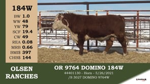 Lot #184W - OR 9764 DOMINO 184W