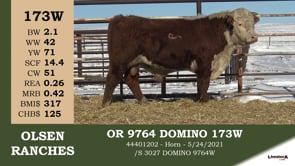 Lot #173W - OR 9764 DOMINO 173W