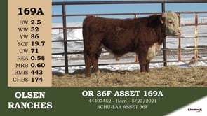 Lot #169A - OR 36F ASSET 169A