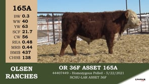 Lot #165A - OR 36F ASSET 165A