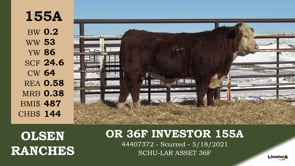 Lot #155A - OR 36F INVESTOR 155A
