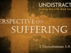 Perspective on Suffering