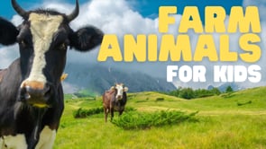 Vimeo Thumbnail