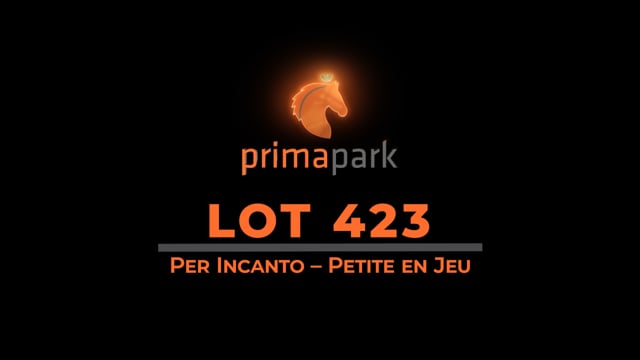 Lot 423