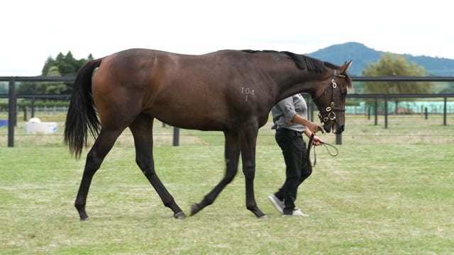 Lot 892