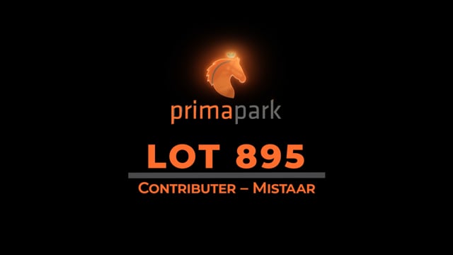 Lot 895