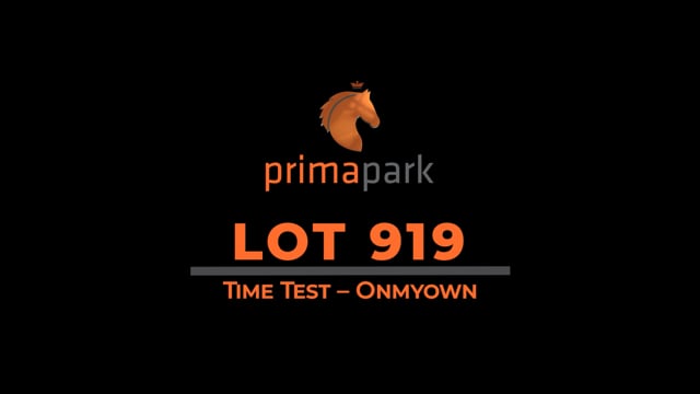 Lot 919