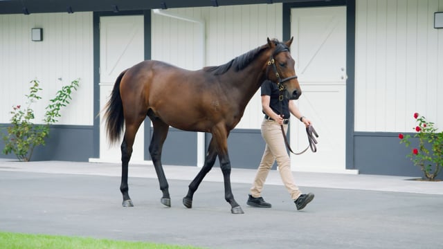 Lot 266