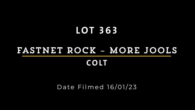 Lot 363