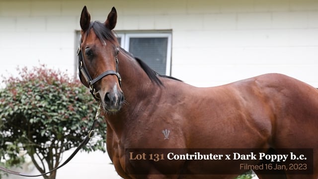 Lot 131