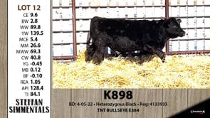 Lot #12 - K898