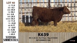 Lot #40 - K639