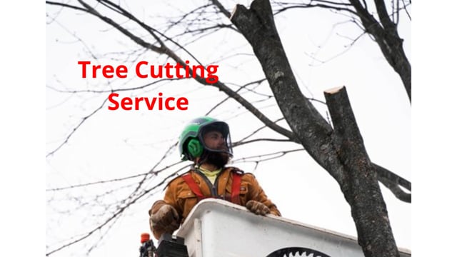 Vanderkooi Tree Cutting Service in Muskegon, MI