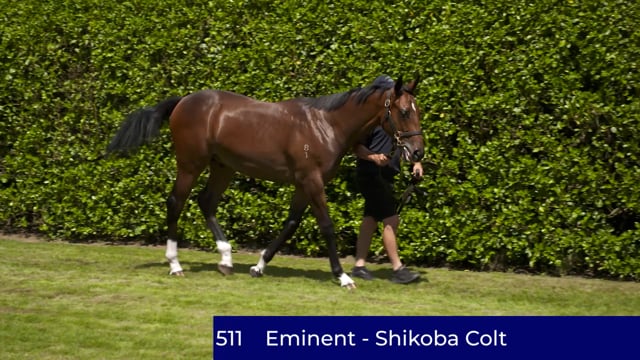 Lot 511