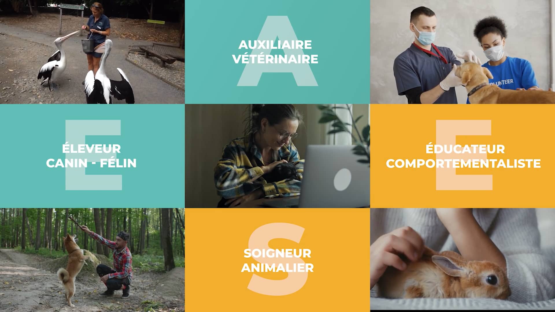 Présentation de l'Offre de formation EFM Métiers Animaliers on Vimeo