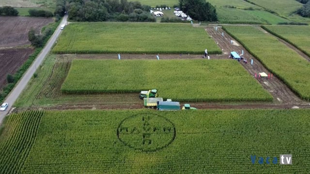Agricultura de precisión en campo de ensayo